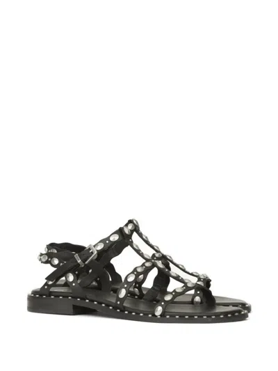 Ash Plus Stud-embellished Leather Sandals In Black