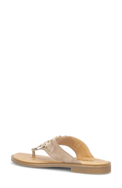 Gabor Studded Sandal In Brown
