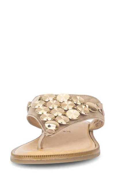 Gabor Studded Sandal In Brown