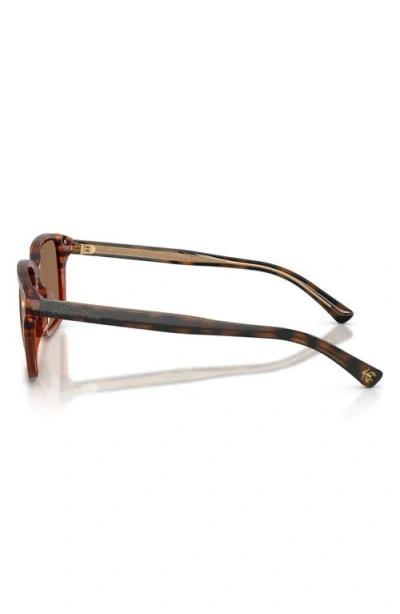 Brooks Brothers 57mm Rectangular Sunglasses In Brown