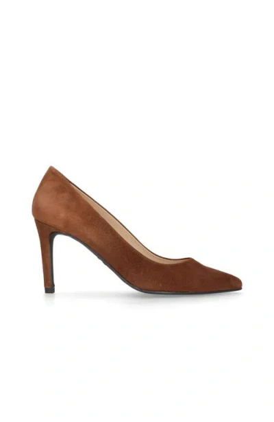 Mascaro Suede Pointed Toe Pump In Multi