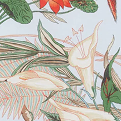 Sferra X Scalamandré Cinque Terra Pillowcase In Multi