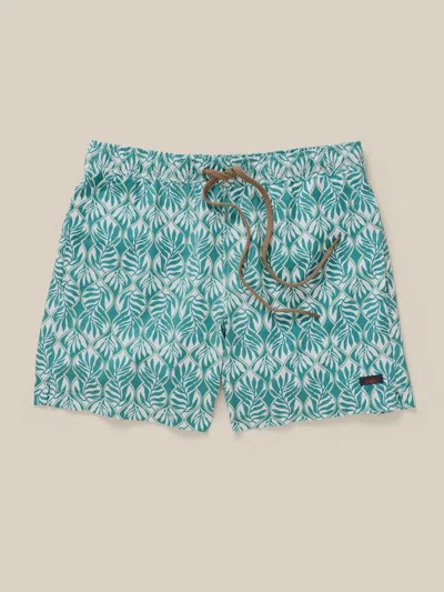 Faherty All Day Trunks 6 Biscayne Leafy Vine In Multi