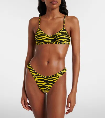 Attico Zebra Bikini Set In Black & Yellow