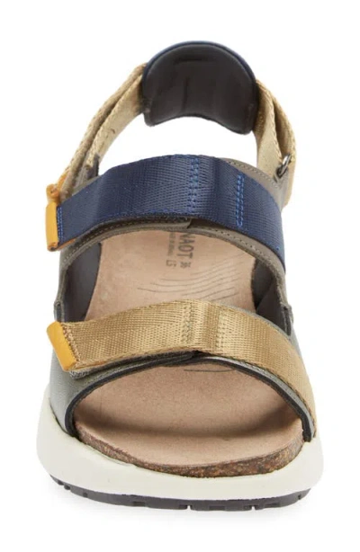 Naot Odyssey Slingback Sandal In Multi