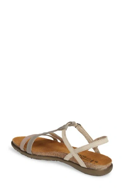 Naot Judith Sandal In Multi