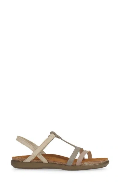 Naot Judith Sandal In Multi