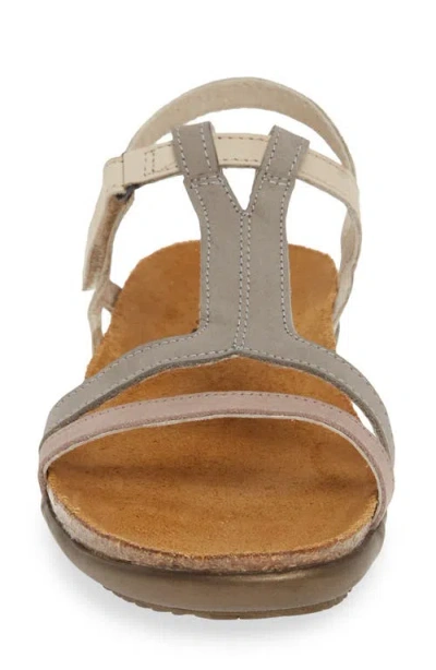 Naot Judith Sandal In Multi