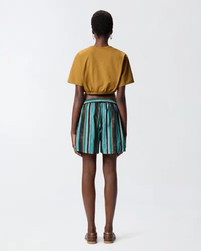 Pinko Chic Mini Shorts With Unique Stripe Print In Multi
