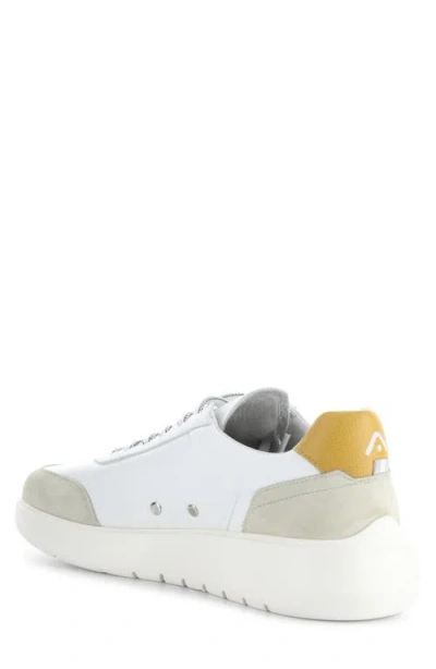 Ambitious 12863 Low Top Sneaker In Multi