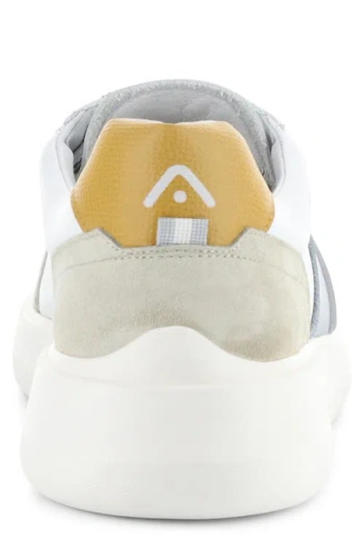 Ambitious 12863 Low Top Sneaker In Multi