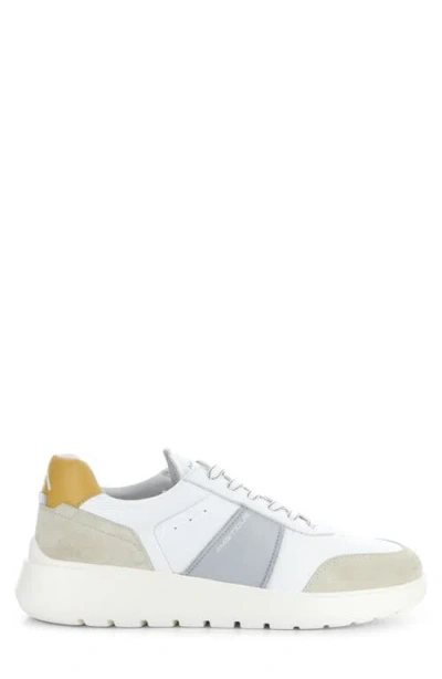 Ambitious 12863 Low Top Sneaker In Multi