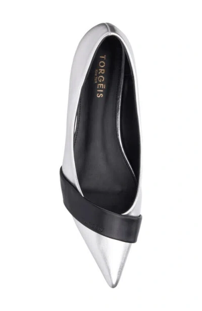 Torgeis Harriet Pointed Toe Flat In Multi
