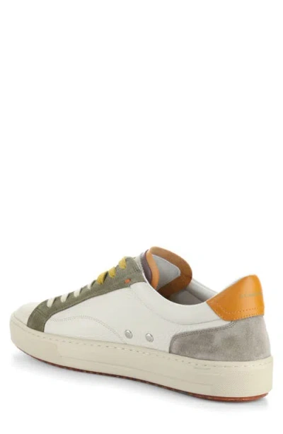 Ambitious 11218 Low Top Sneaker In Multi