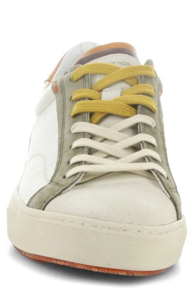 Ambitious 11218 Low Top Sneaker In Multi
