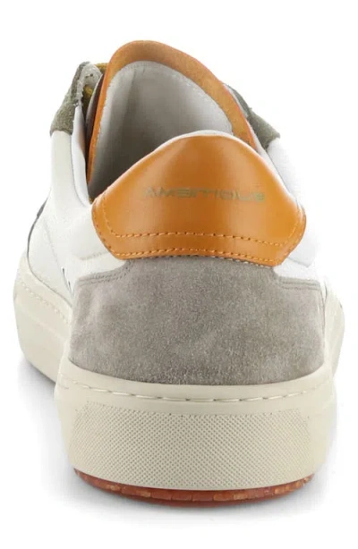 Ambitious 11218 Low Top Sneaker In Multi