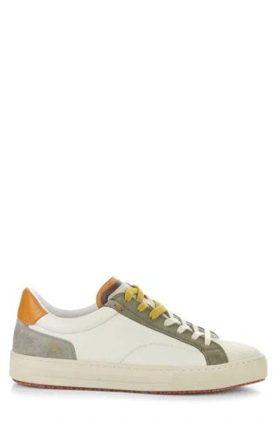 Ambitious 11218 Low Top Sneaker In Multi