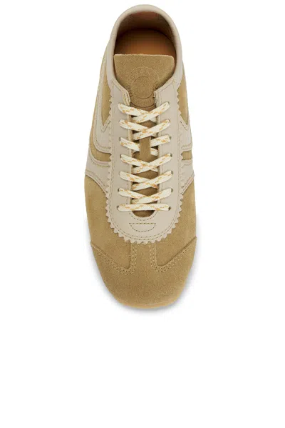Dries Van Noten Women Beige Low-top Sneakers With Two-tone Lace-up In Suede Woman In Neutral