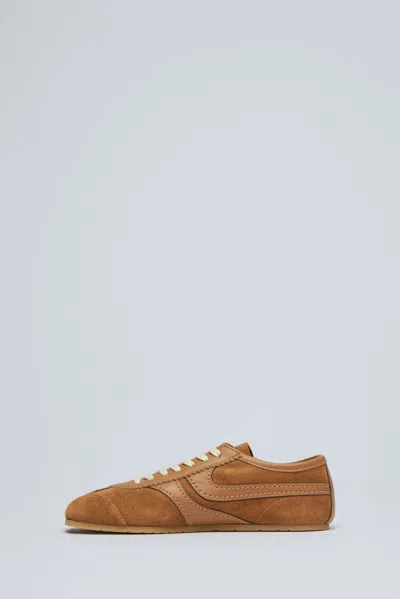 Dries Van Noten Women Brown Low-top Sneakers With Two-tone Lace-up In Suede Woman