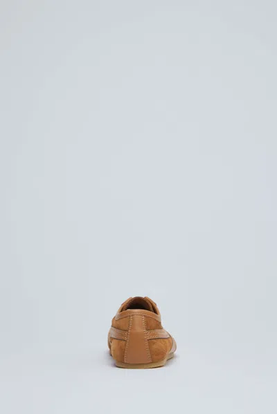 Dries Van Noten Women Brown Low-top Sneakers With Two-tone Lace-up In Suede Woman