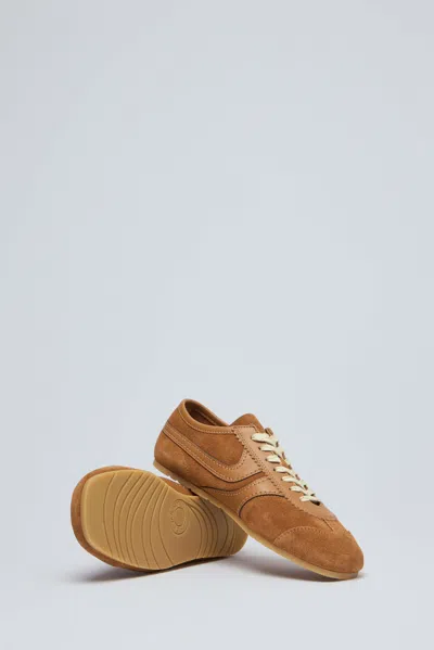 Dries Van Noten Women Brown Low-top Sneakers With Two-tone Lace-up In Suede Woman