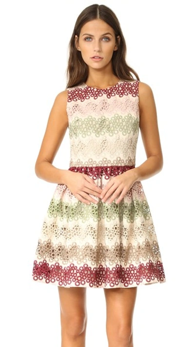 Shop Alice And Olivia Joyce Crew Neck Party Dress In Multi