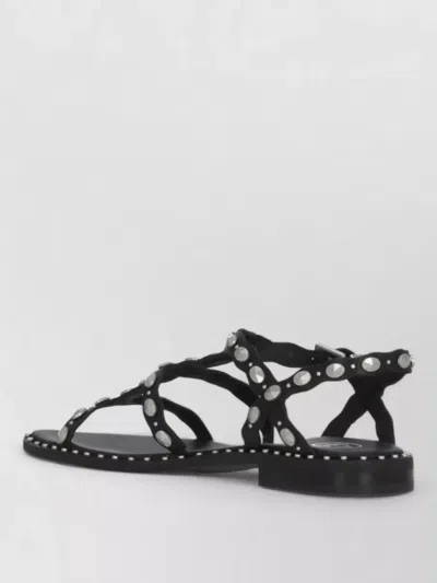 Ash Plus Stud-embellished Leather Sandals In Black