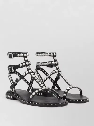 Ash Ankle Strap Sandals Flat Sole Studs In Black
