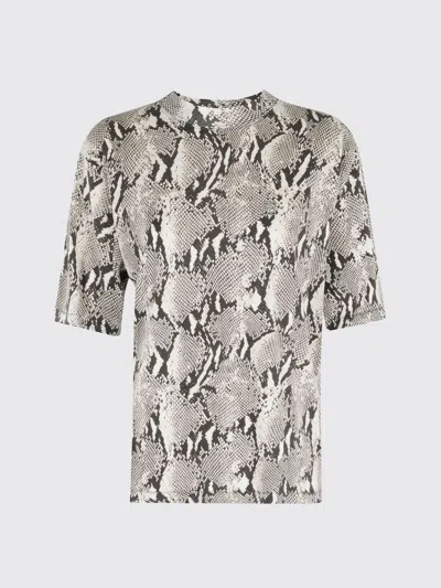 Anine Bing Womens Washed Python Avi Python-print Cotton T-shirt In Multi