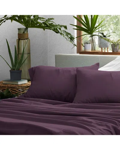 Home Collection Premium Ultra Soft 2pc Pillow Case Set In Multi