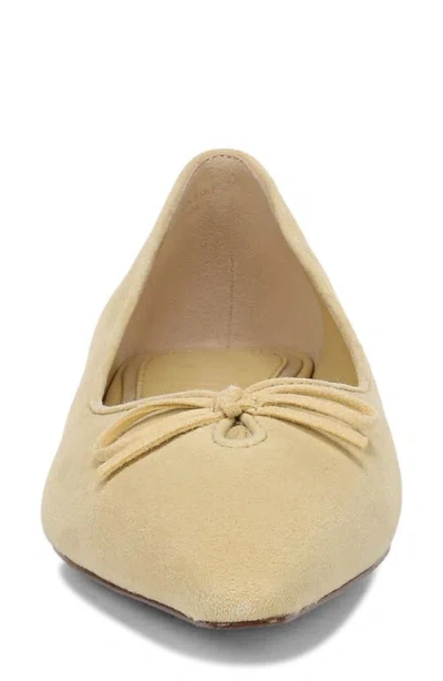 Sam Edelman Esmira Pointed Toe Flat In Neutral
