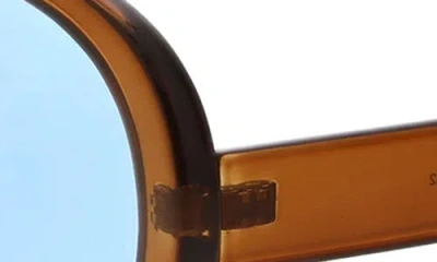 Bcbgeneration Oversized Aviator Sunglasses In Brown