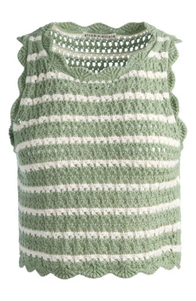 Alice And Olivia Ciara Cropped Pointelle Pullover In Green