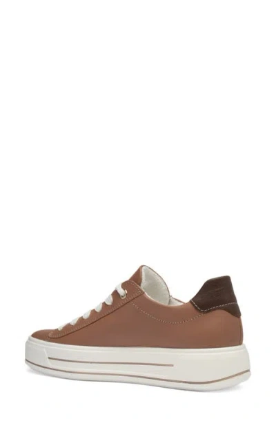 Ara Carol Sneaker In Brown