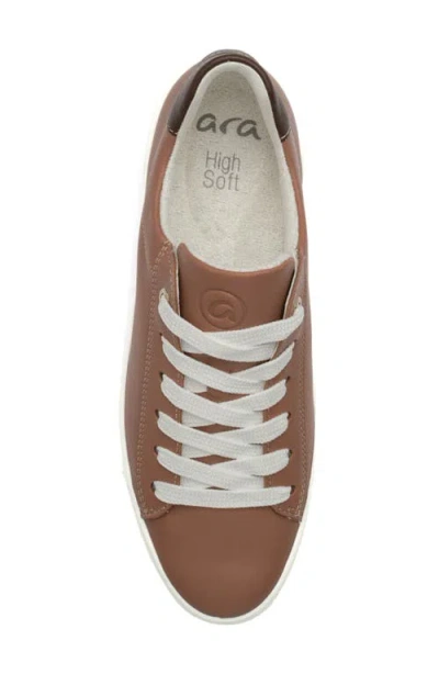 Ara Carol Sneaker In Brown
