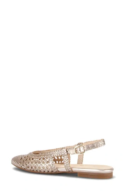 Gabor Pointed Toe Slingback Flat In Multi