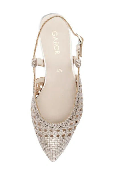 Gabor Pointed Toe Slingback Flat In Multi