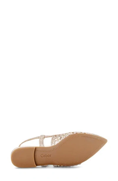 Gabor Pointed Toe Slingback Flat In Multi