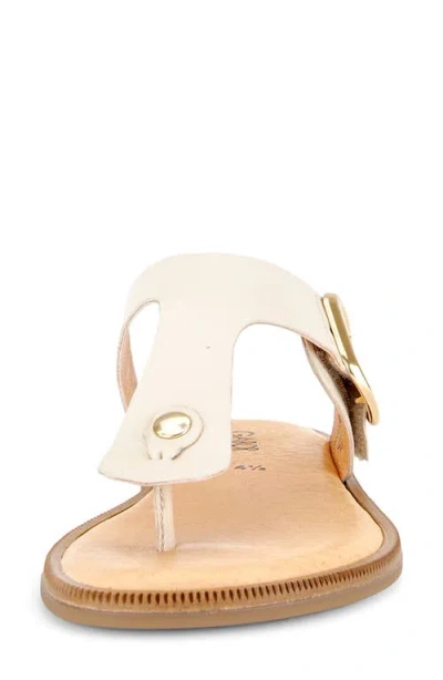 Gabor Studded Flip Flop In White