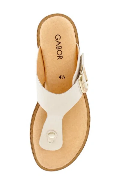 Gabor Studded Flip Flop In White