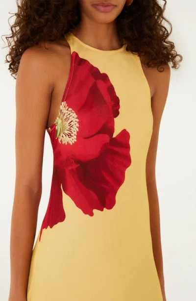 Farm Rio Poppy Flowers Maxi Dress Poppy Flowers Light Yellow In Neutral