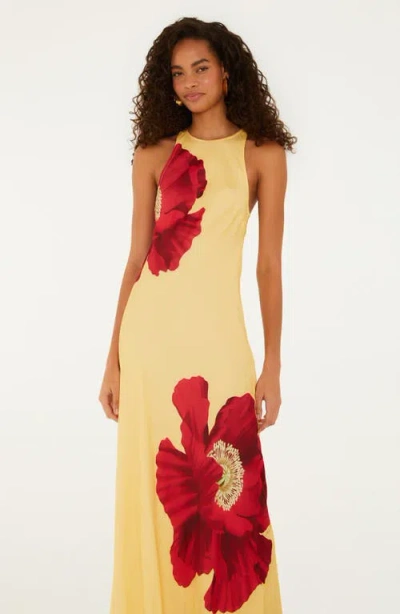 Farm Rio Poppy Flowers Maxi Dress Poppy Flowers Light Yellow In Neutral