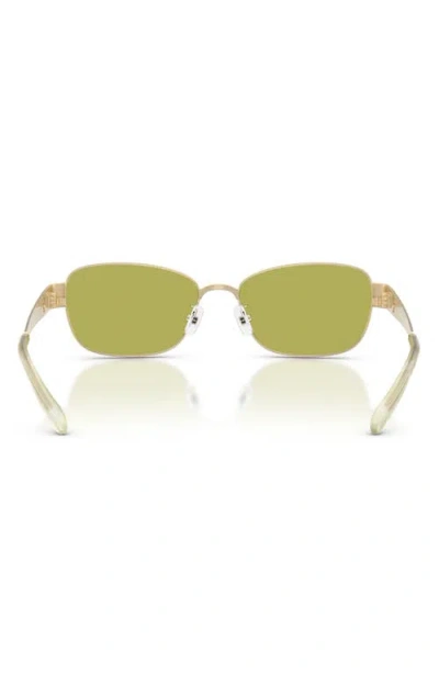 Tory Burch 55mm Rectangular Sunglasses In Multi