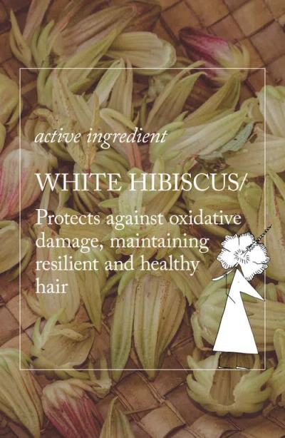 Davines Dede Shampoo Essential Haircare In Transparent