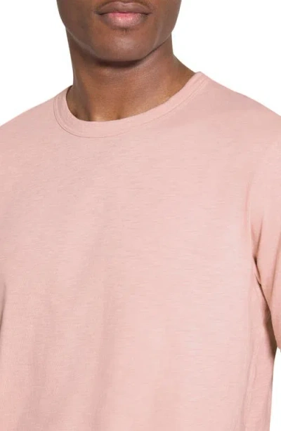 Theory Essential In Pink