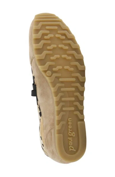 Paul Green Dynamic Flat In Brown