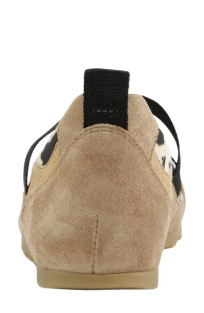 Paul Green Dynamic Flat In Brown