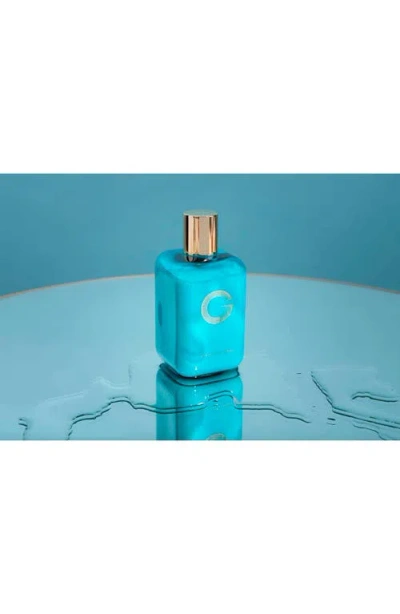 Veronique Gabai La Créme In Transparent