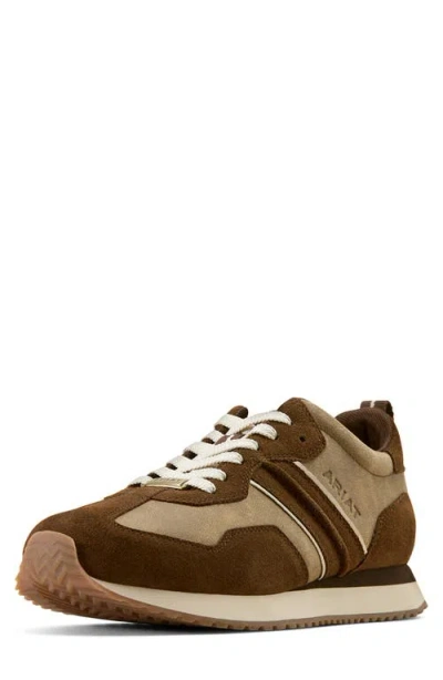 Ariat Ranch Runner Shoe In Brown
