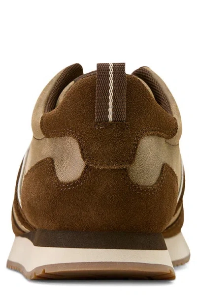 Ariat Ranch Runner Shoe In Brown